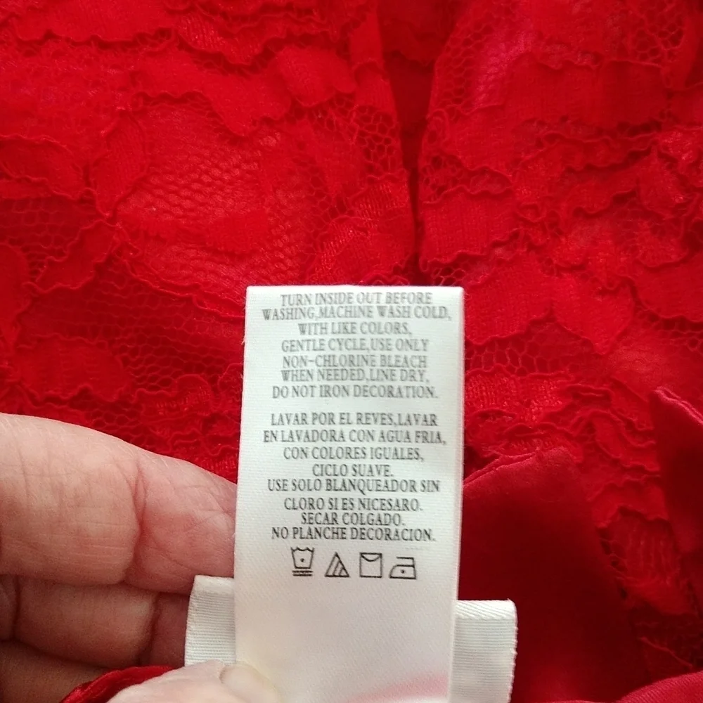 Blueberi Boulevard Red Lace Dress Sz 18M